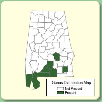 Genus Distribution Map