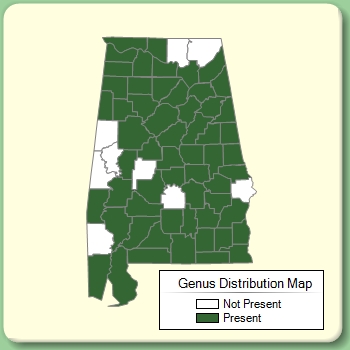 Genus Distribution Map