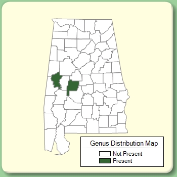 Genus Distribution Map