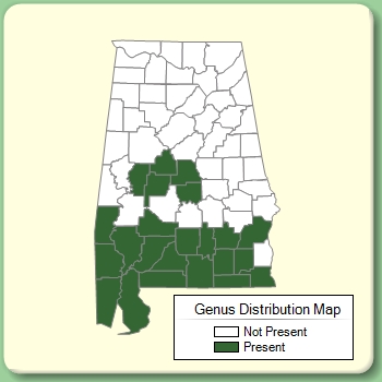 Genus Distribution Map