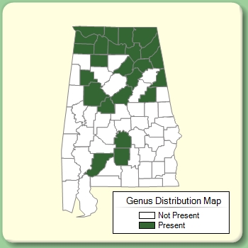 Genus Distribution Map