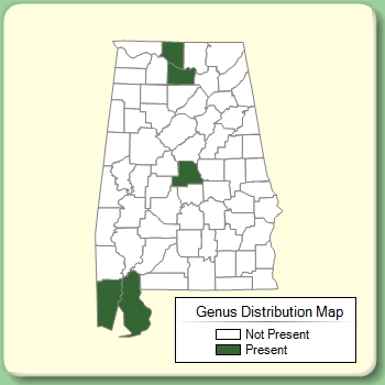 Genus Distribution Map