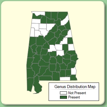 Genus Distribution Map