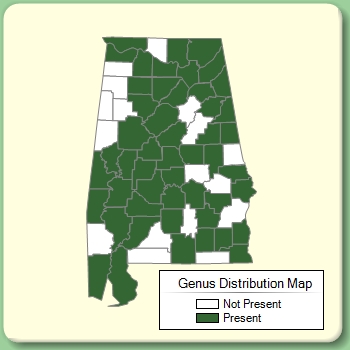 Genus Distribution Map