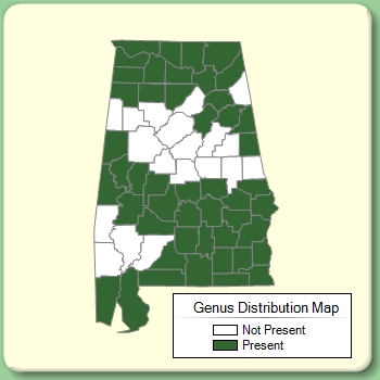 Genus Distribution Map