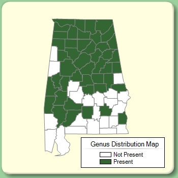 Genus Distribution Map