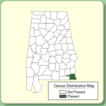 Genus Distribution Map