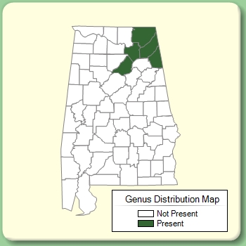 Genus Distribution Map