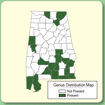 Genus Distribution Map