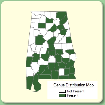 Genus Distribution Map