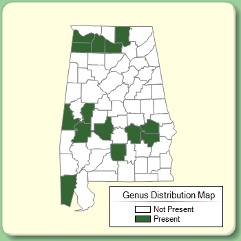 Genus Distribution Map