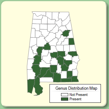 Genus Distribution Map