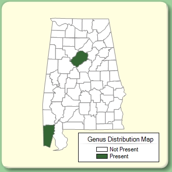 Genus Distribution Map