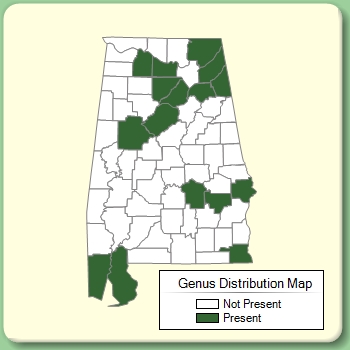 Genus Distribution Map