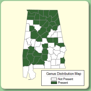 Genus Distribution Map