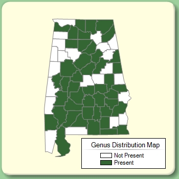 Genus Distribution Map