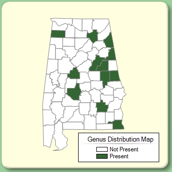 Genus Distribution Map