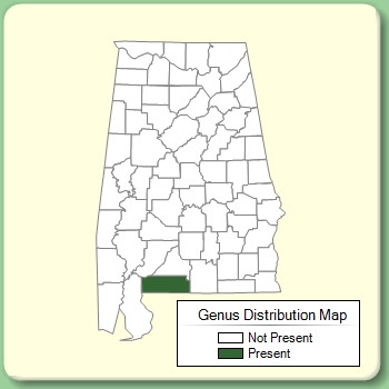 Genus Distribution Map