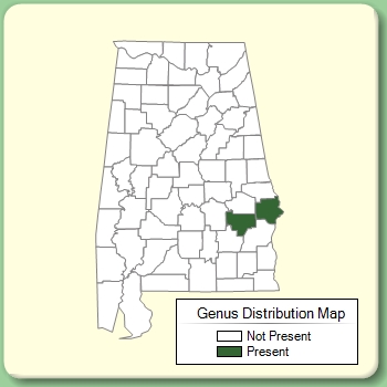 Genus Distribution Map