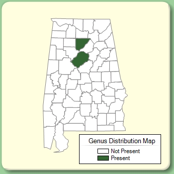 Genus Distribution Map