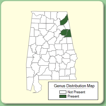 Genus Distribution Map