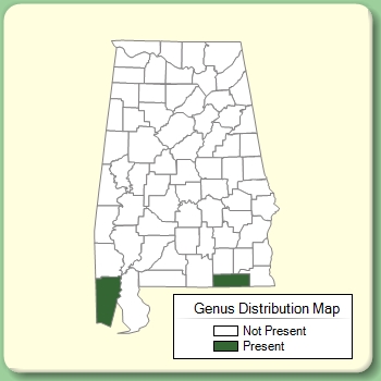 Genus Distribution Map