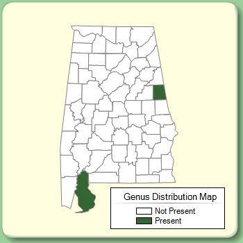 Genus Distribution Map