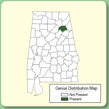 Genus Distribution Map