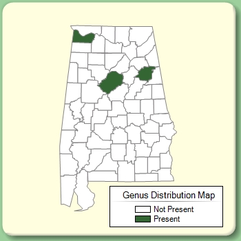 Genus Distribution Map