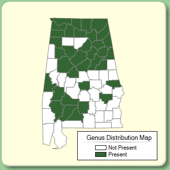 Genus Distribution Map