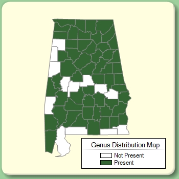 Genus Distribution Map