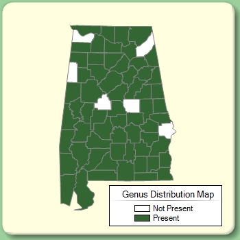 Genus Distribution Map