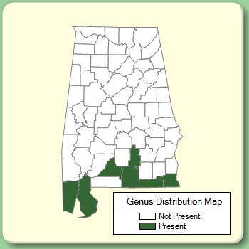 Genus Distribution Map