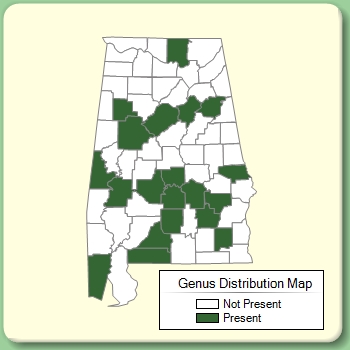 Genus Distribution Map