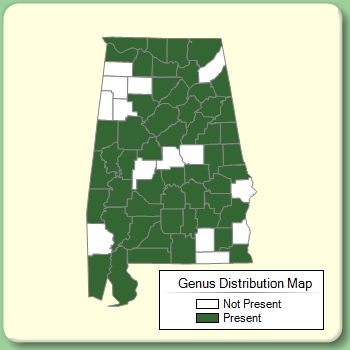 Genus Distribution Map