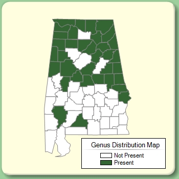 Genus Distribution Map