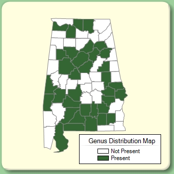 Genus Distribution Map