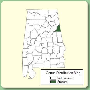 Genus Distribution Map