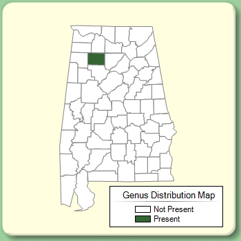 Genus Distribution Map