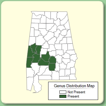 Genus Distribution Map