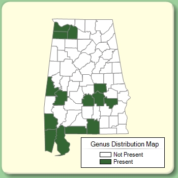 Genus Distribution Map