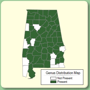 Genus Distribution Map