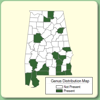 Genus Distribution Map