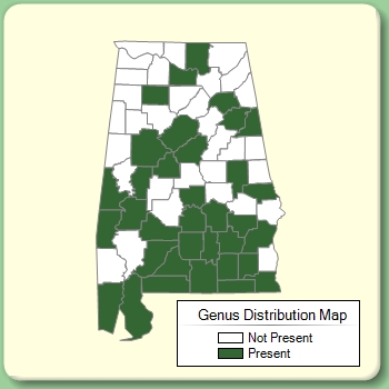 Genus Distribution Map