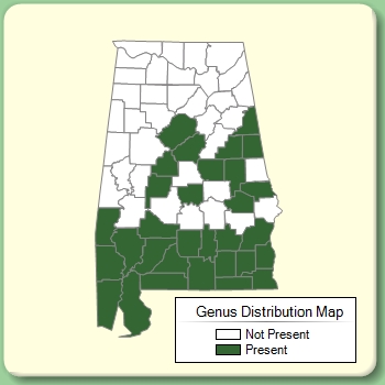 Genus Distribution Map