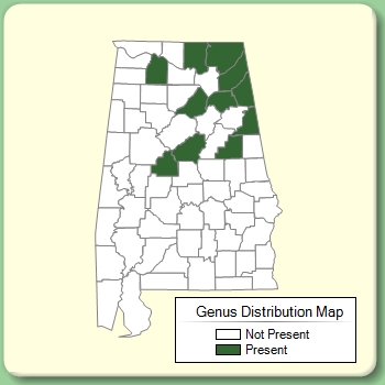 Genus Distribution Map