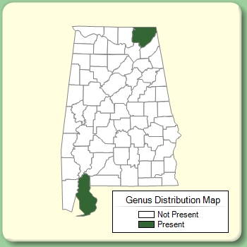 Genus Distribution Map