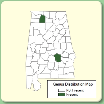 Genus Distribution Map