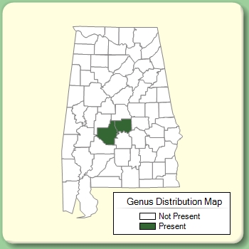 Genus Distribution Map