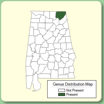 Genus Distribution Map